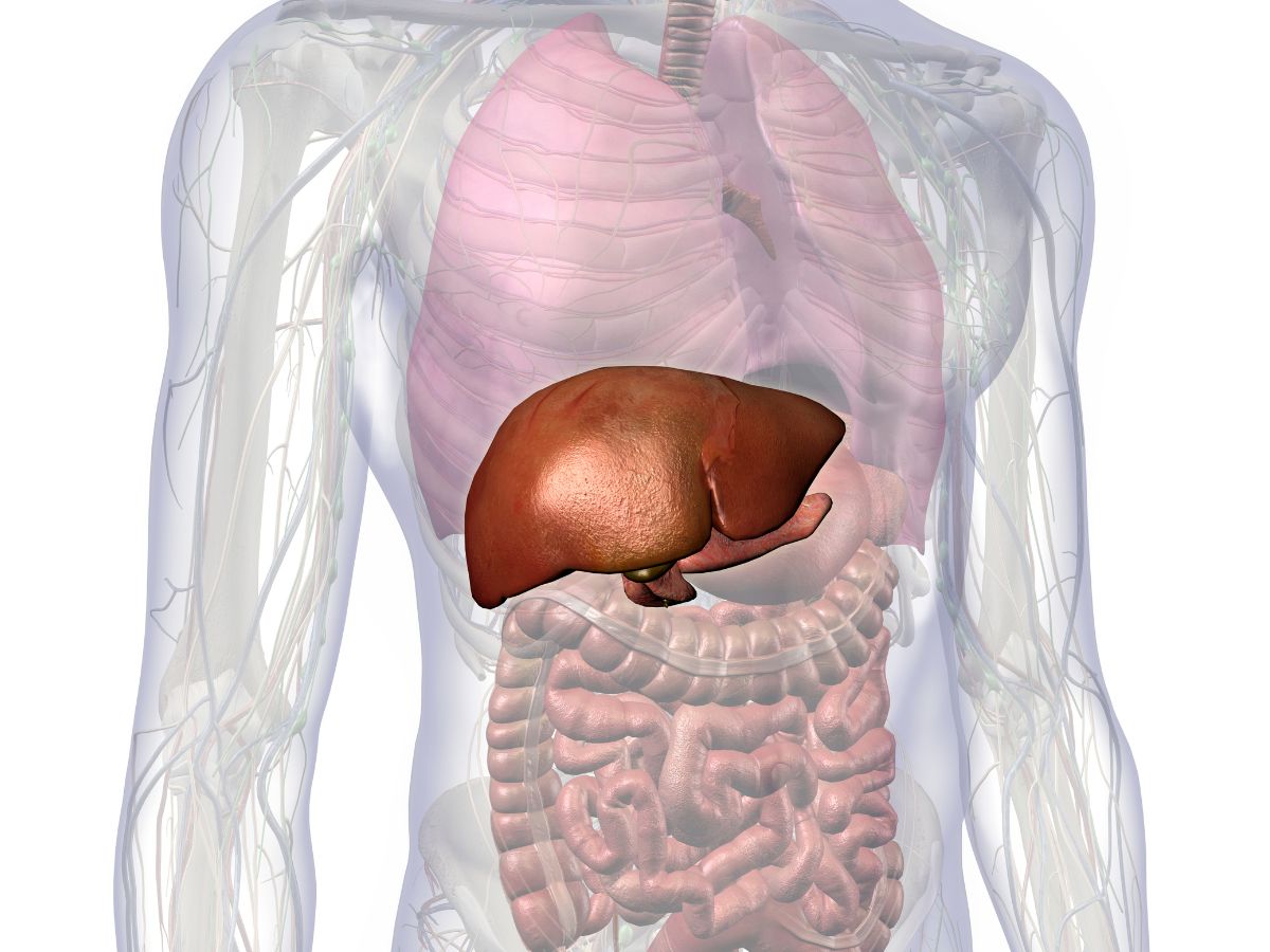 Liver Cleansing Diet - Photo Gallery