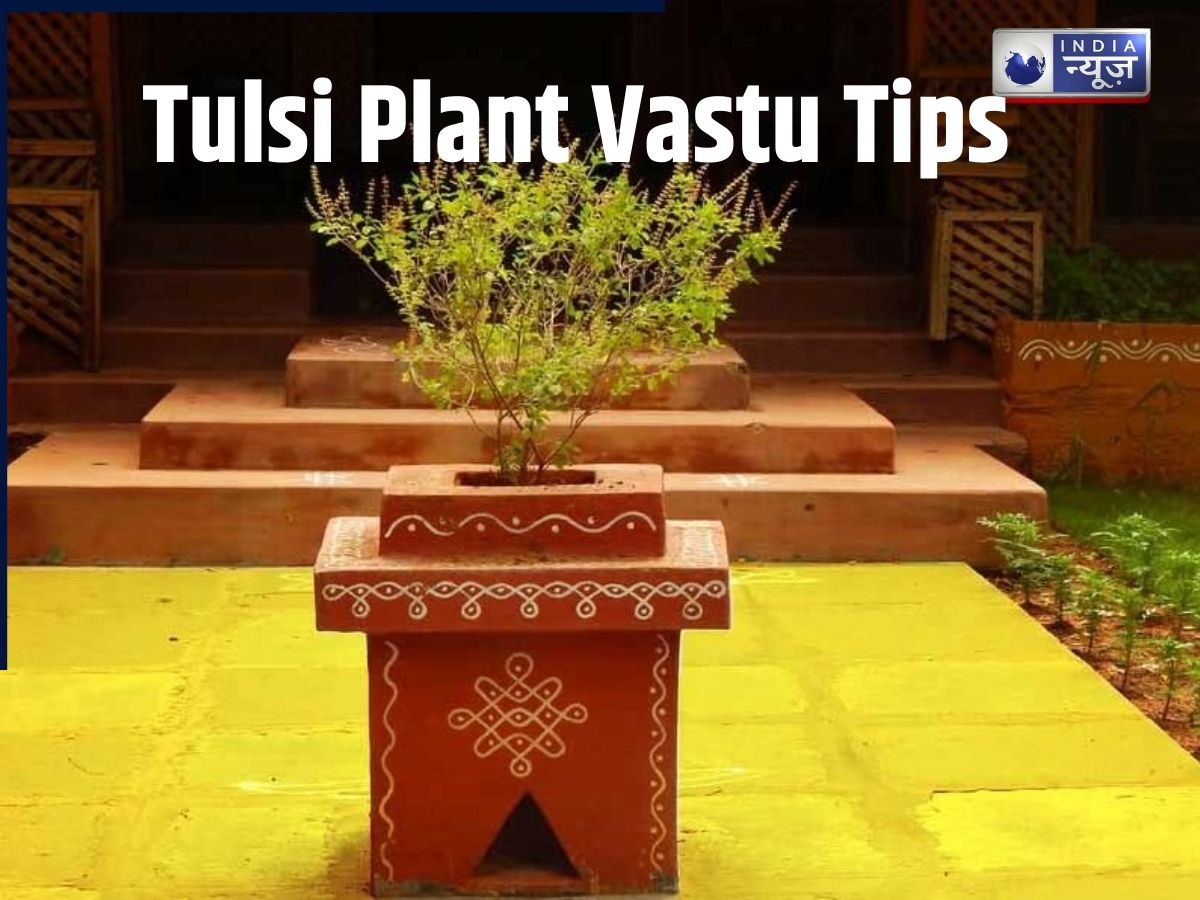 Vastu Tips: घर में गलत जगह तुलसी का पौधा रखने से बढ़ता है वास्तु दोष, जानें सही नियम