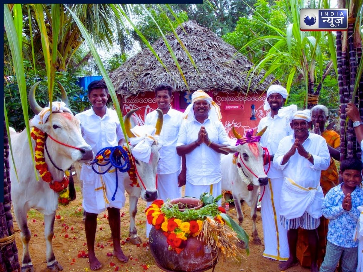 Pongal Celebration 2026 - Photo Gallery