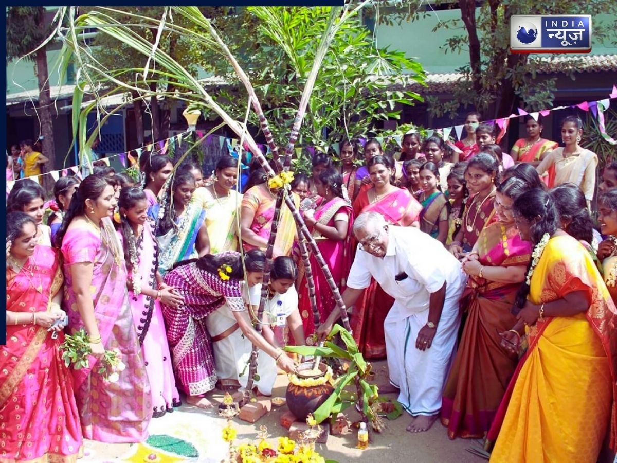 Pongal Festival - Photo Gallery