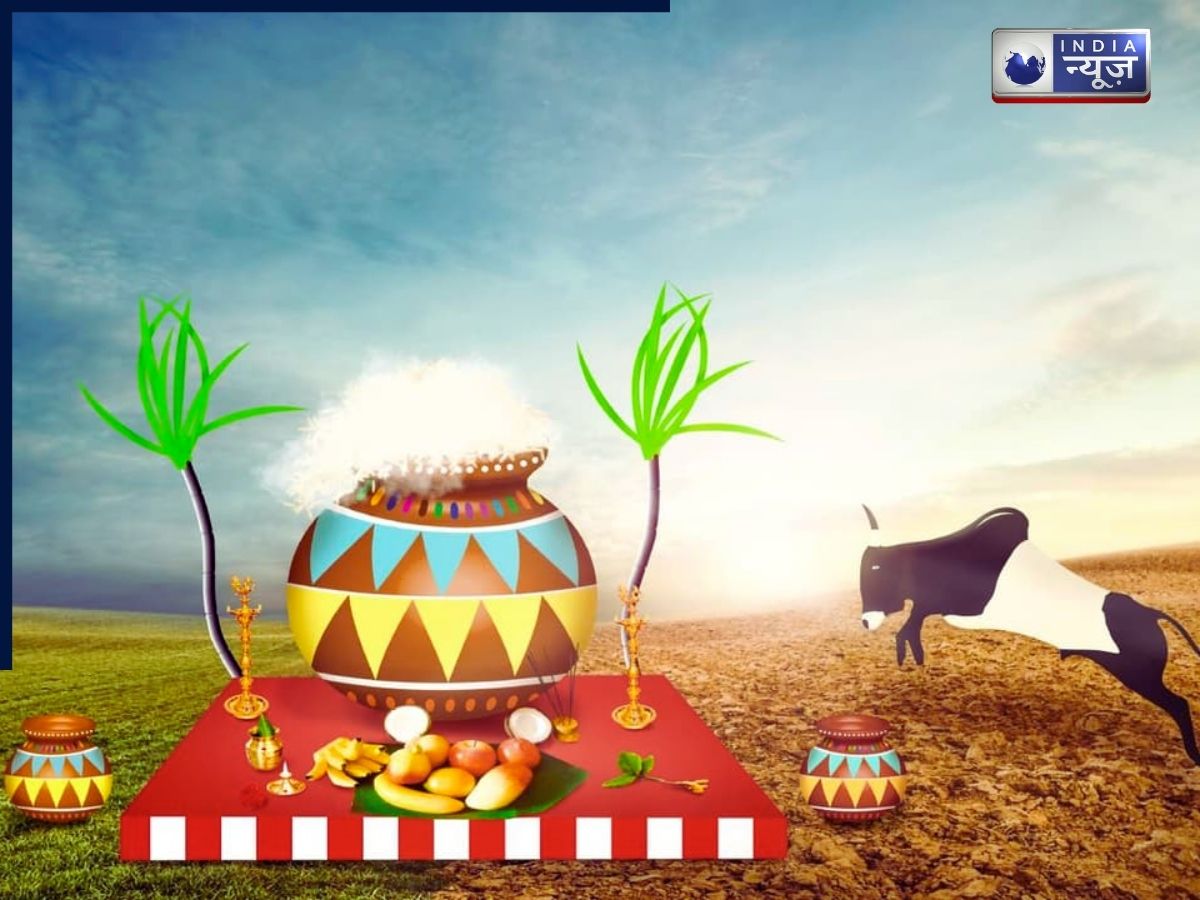 Pongal Festival - Photo Gallery