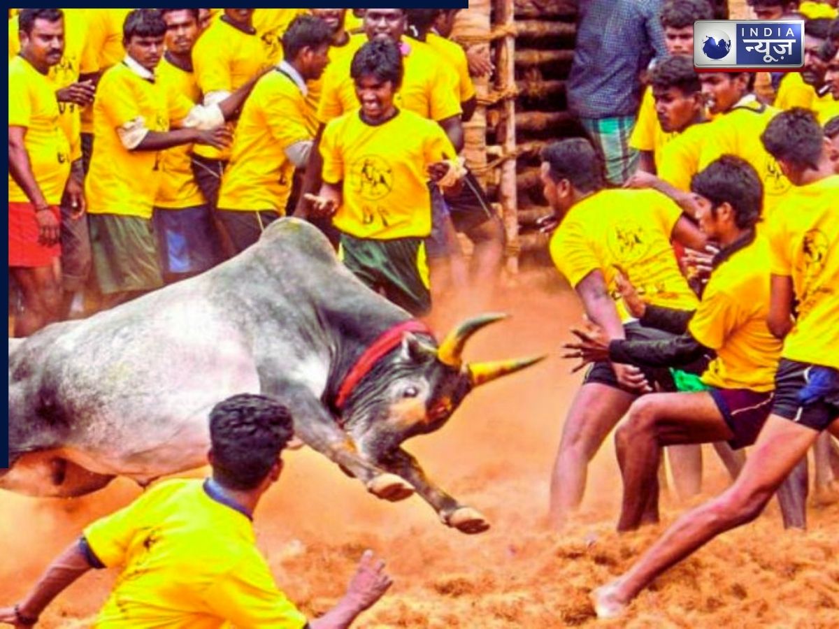 Pongal Festival - Photo Gallery