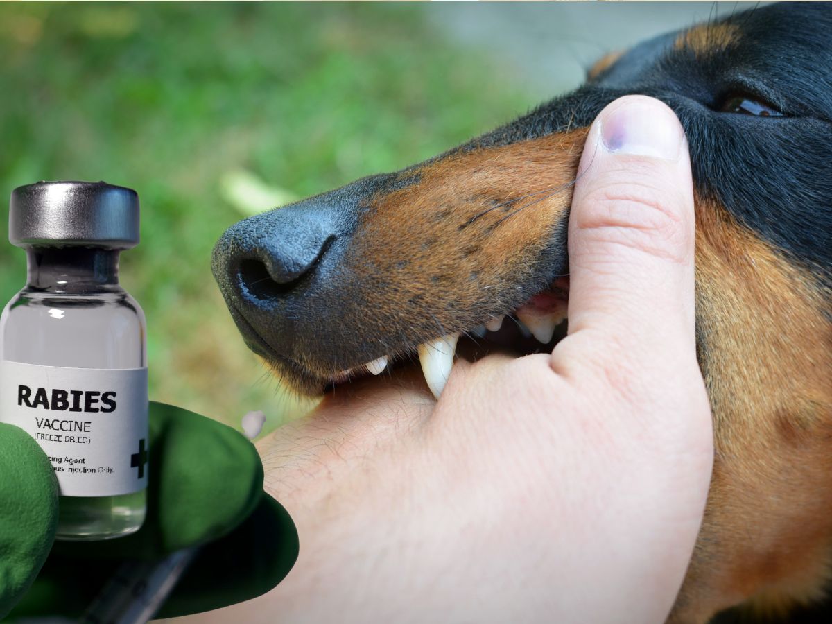 जोखिम में जान! जानिए, वो 9 ऐसे मेडिकल ट्रायल और थेरेपी… जो बदल देंगी इलाज का तरीका, आप भी कर लीजिए नोट - Gallery Image