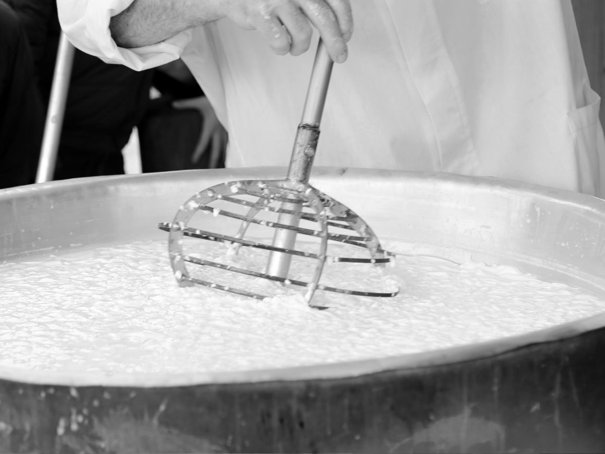 रोटी से ज्यादा मोटी मलाई का सीक्रेट… दूध उबालते समय डाल दें ये 2 चीजें, 3 दिन में बना लेंगी 1 Kg घी! - Gallery Image