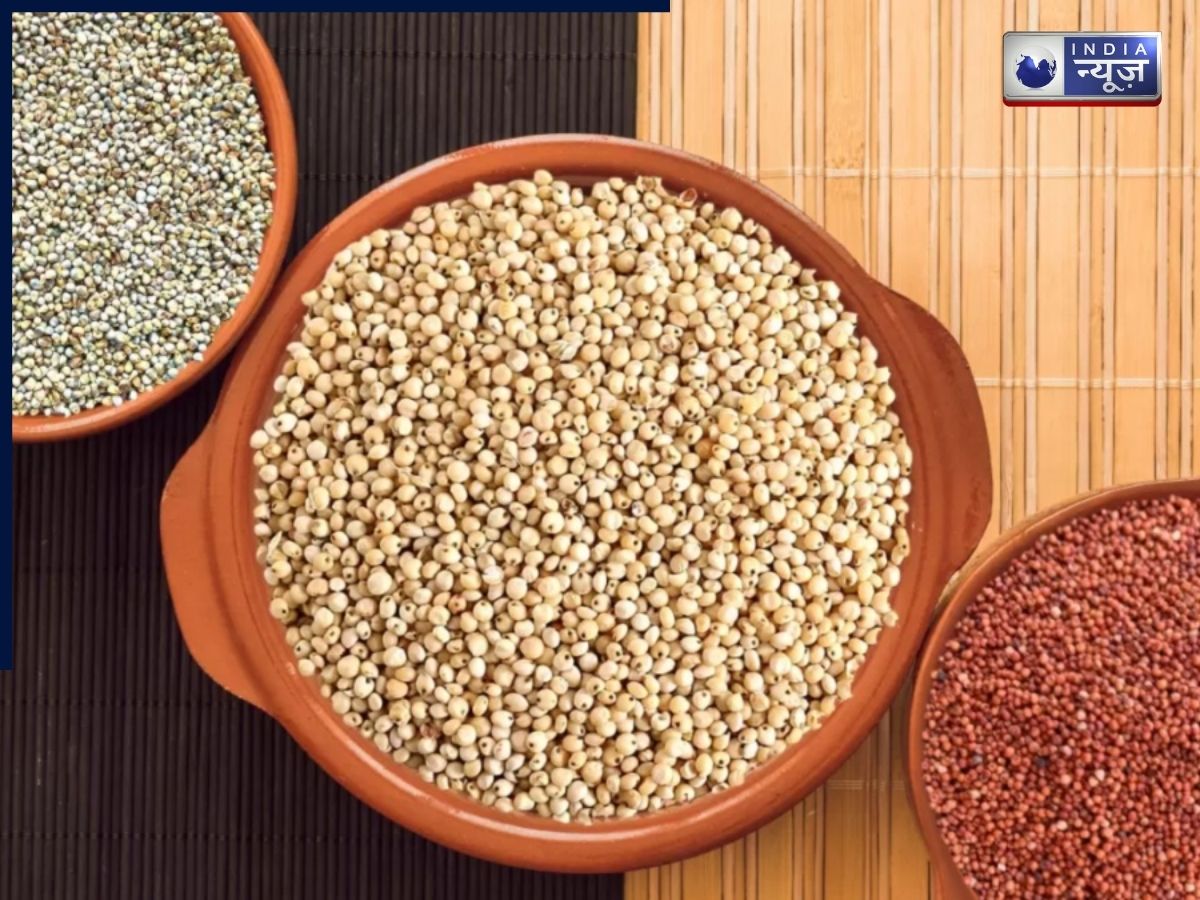 Millets - Photo Gallery