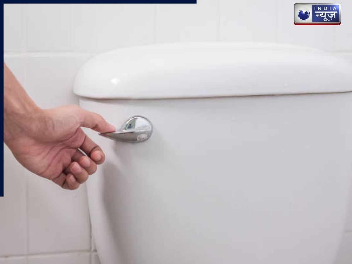 Toilet Flush Handle - Photo Gallery