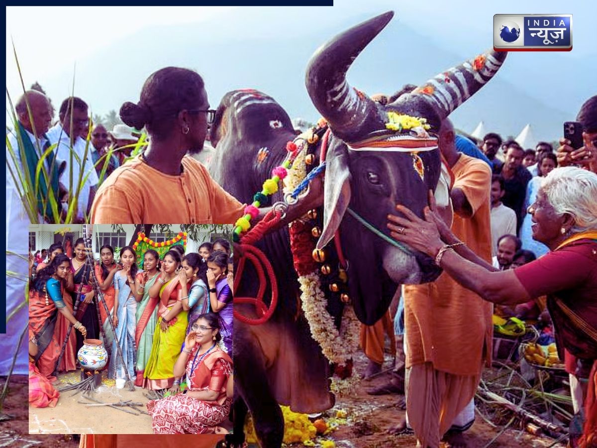 Pongal Festival Dates: जानें पोंगल पर्व पर किस दिन करें कौन सी पूजा, शुभ समय की लिस्ट अंदर है?