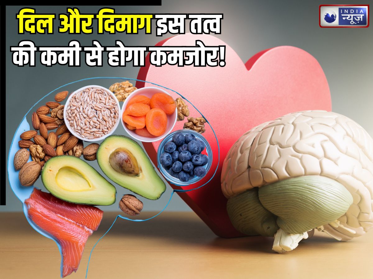Omega 3 Deficiency: दिल और दिमाग हो जाएगा कमजोर… अगर शरीर में इस तत्व हो गई कमी! जानिए कैसे करें इसकी पूर्ति