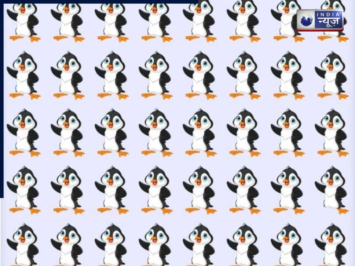 99% लोग पहली बार में फेल! इस पजल में छुपा है एक अलग पेंगुइन,क्या आपकी आंखें पकड़ पाएगी?