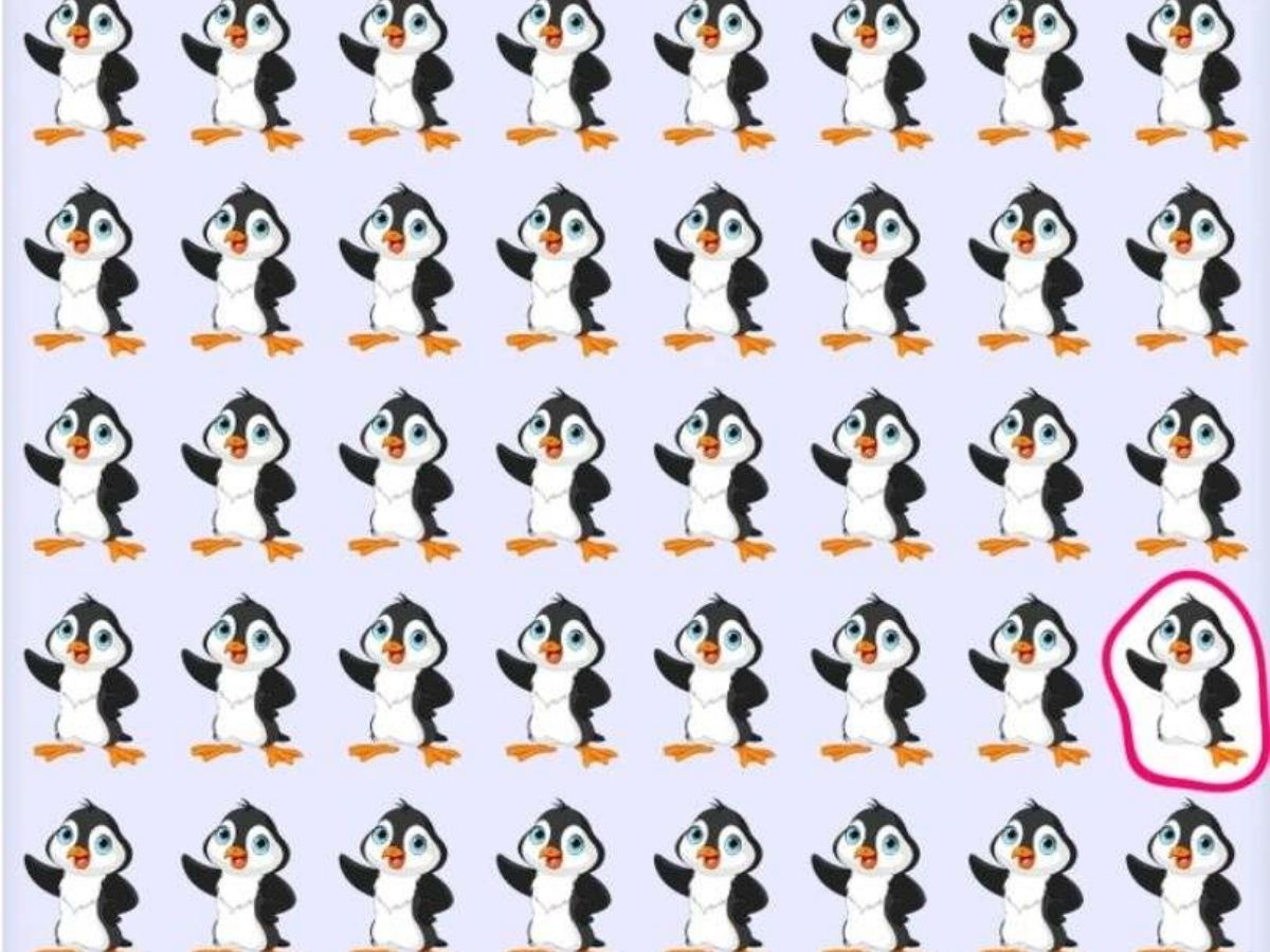 Optical Illusion Challenge