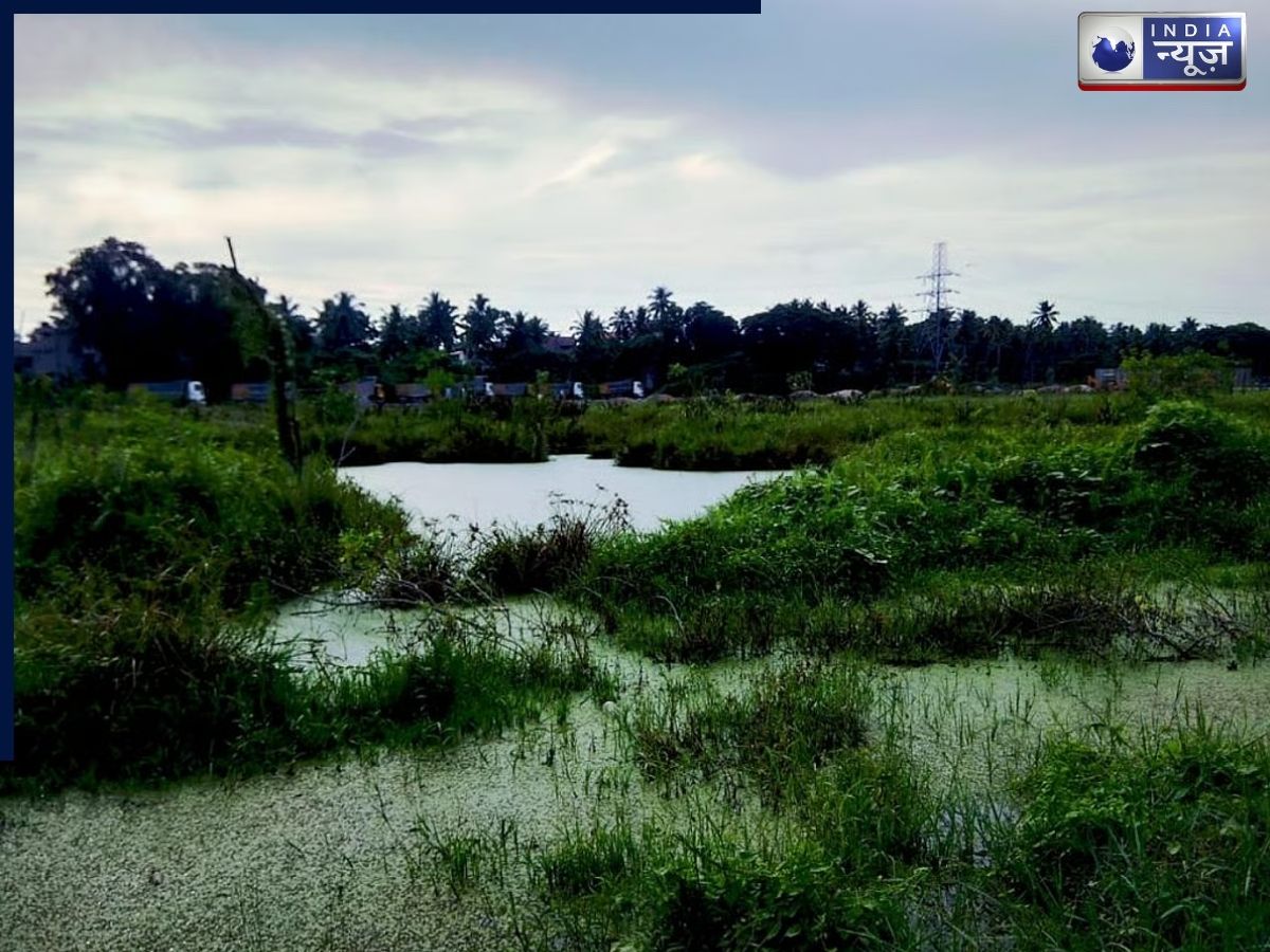 भारत के सर्वाधिक आर्द्रभूमि वाले राज्य, गुजरात से तमिलनाडु तक का प्राकृतिक विस्तार