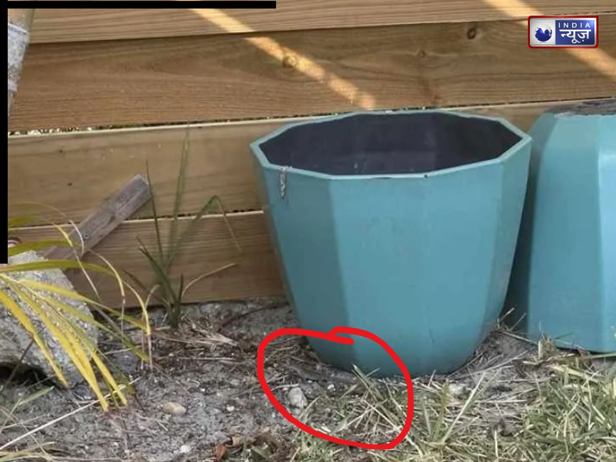 Optical illusion test 1 Optical illusion test 1