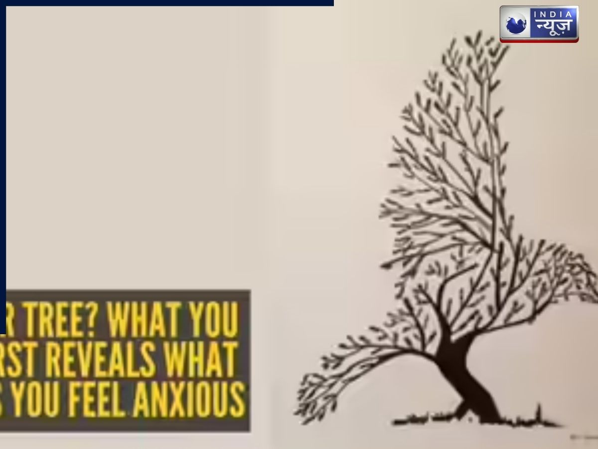 OPTICAL ILLUSION: सबसे पहले आपकी नजर किस पर पड़ती है, किसी पक्षी पर या पेड़ पर? यह बताएगा आपकी टेंशन