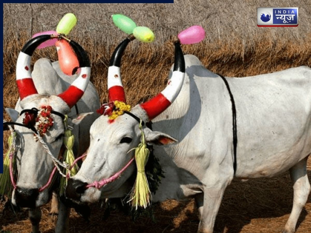 January 16, 2026: In which cities will banks be closed? - Photo Gallery