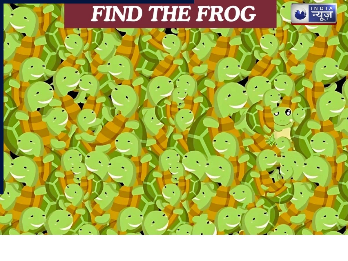Optical Illusion Test: 25 सेकंड में मेढक खोजो तो पता चलेगा कितना तेज है आपका माइंड, चेक करें IQ लेवल?