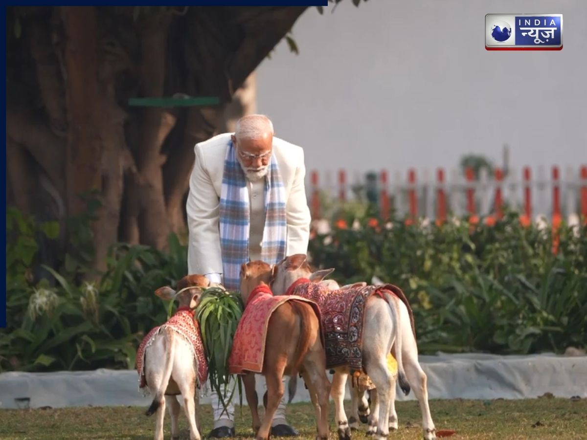 Video:मकर संक्रांति पर  गौ-सेवा में रमे पीएम मोदी, खूबसूरत वीडियो आया सामने