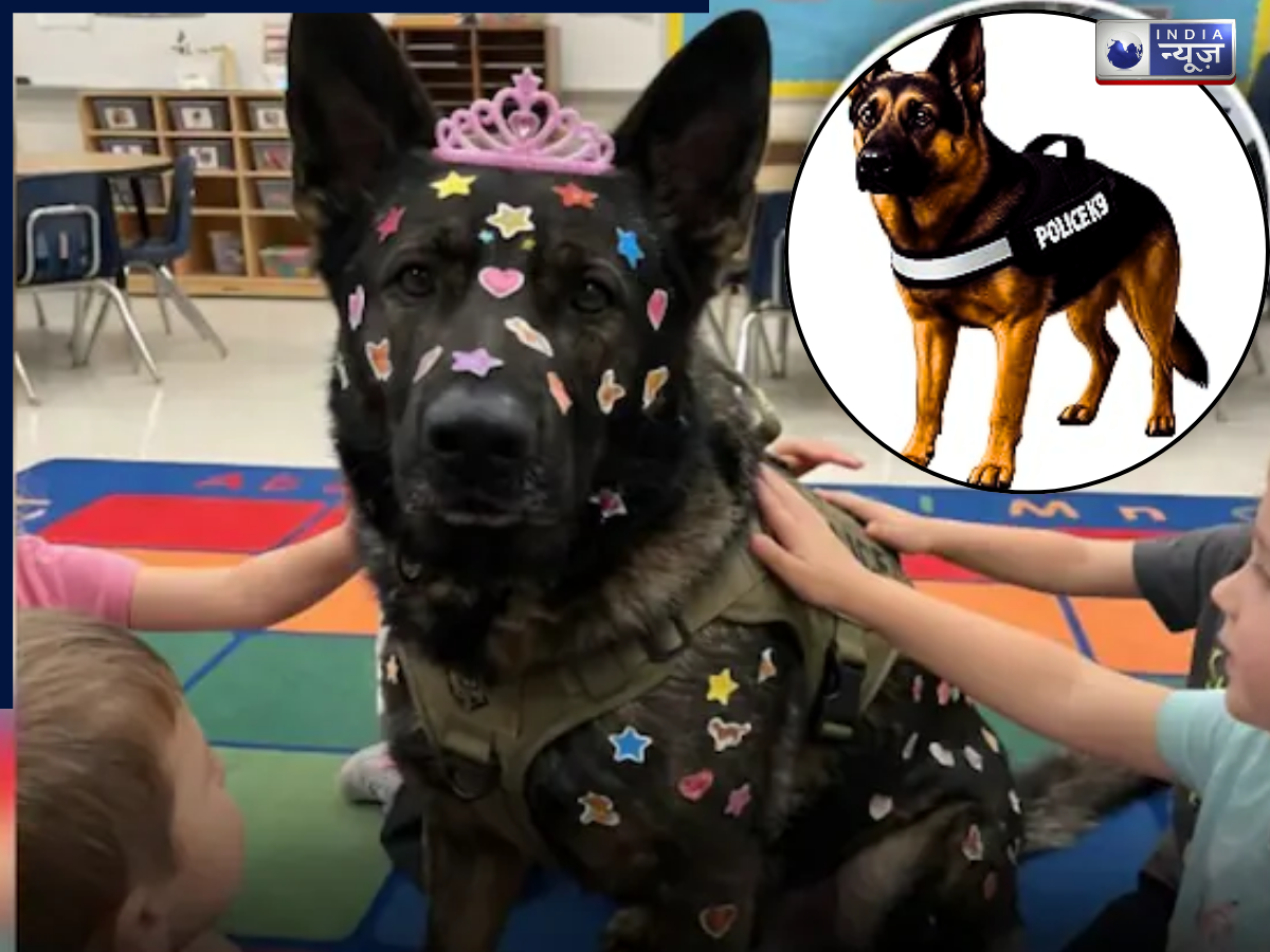 शरीर पर दर्जनों स्टार और पिंक टियारा, ‘ब्लिट्ज’ की मासूमियत ने लोगों का जीता दिल, किंडरगार्टन में दिखा पुलिस डॉग का cute रूप - Photo Gallery