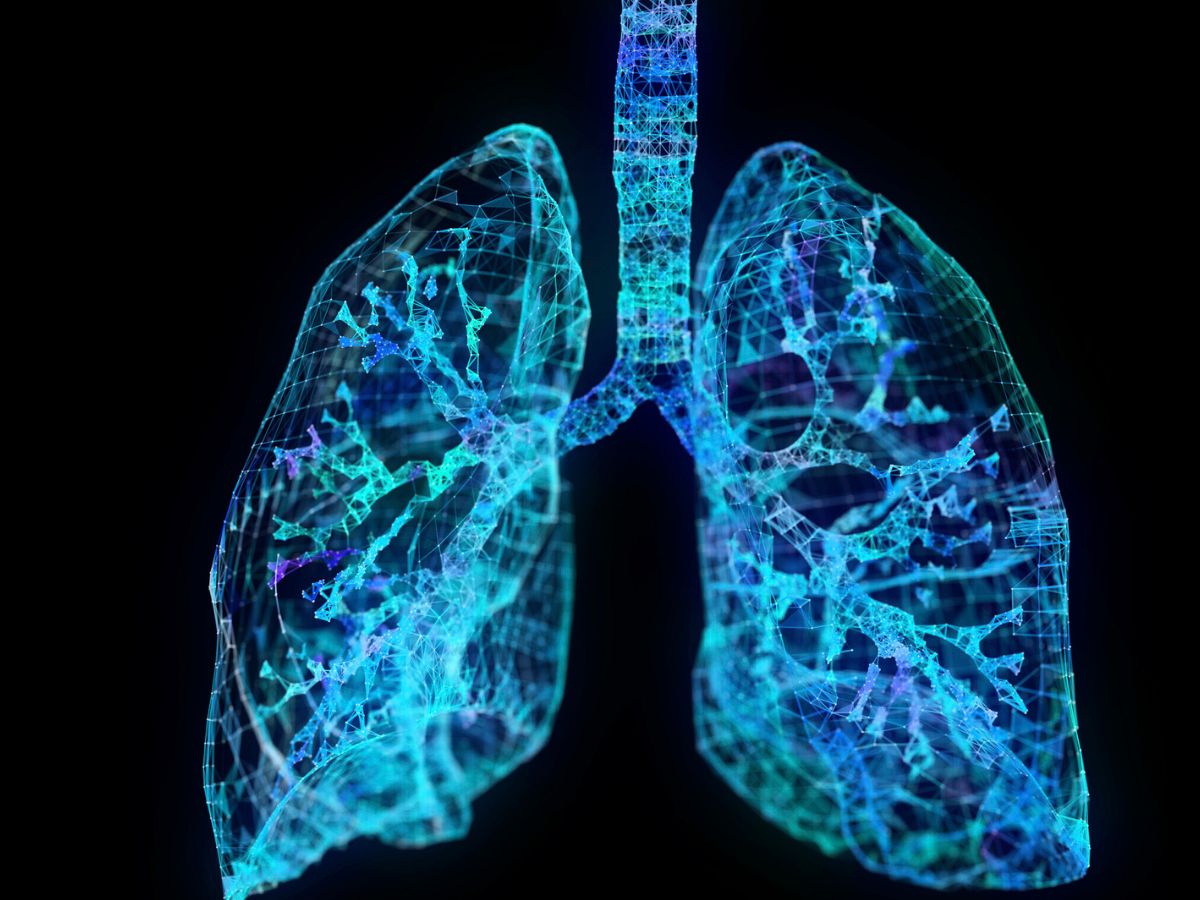 जहरीले पॉल्यूशन का फेफड़ों पर हमला, शरीर बन रहा बीमारियों का घर, लंग्स बचाने के लिए खाना शुरू कर दें ये चीजें - Gallery Image