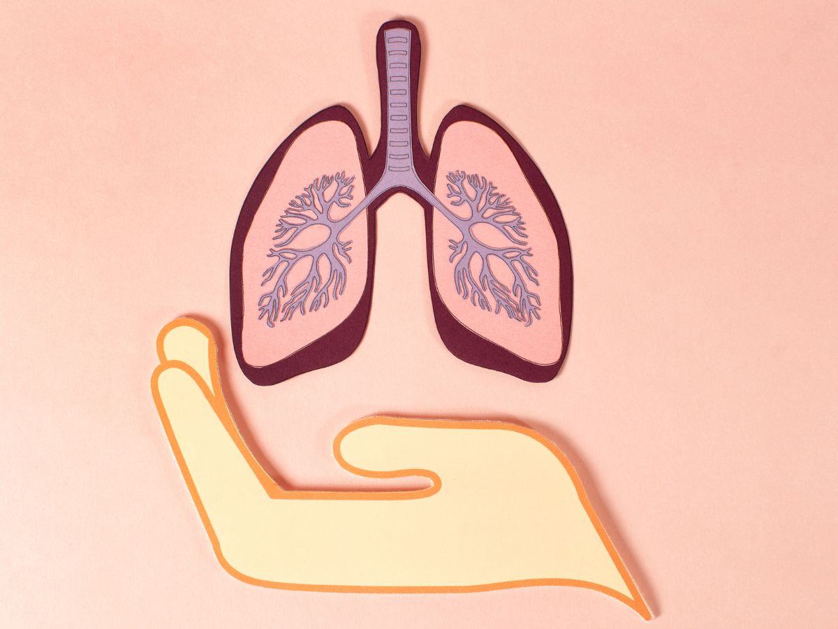 जहरीले पॉल्यूशन का फेफड़ों पर हमला, शरीर बन रहा बीमारियों का घर, लंग्स बचाने के लिए खाना शुरू कर दें ये चीजें - Gallery Image