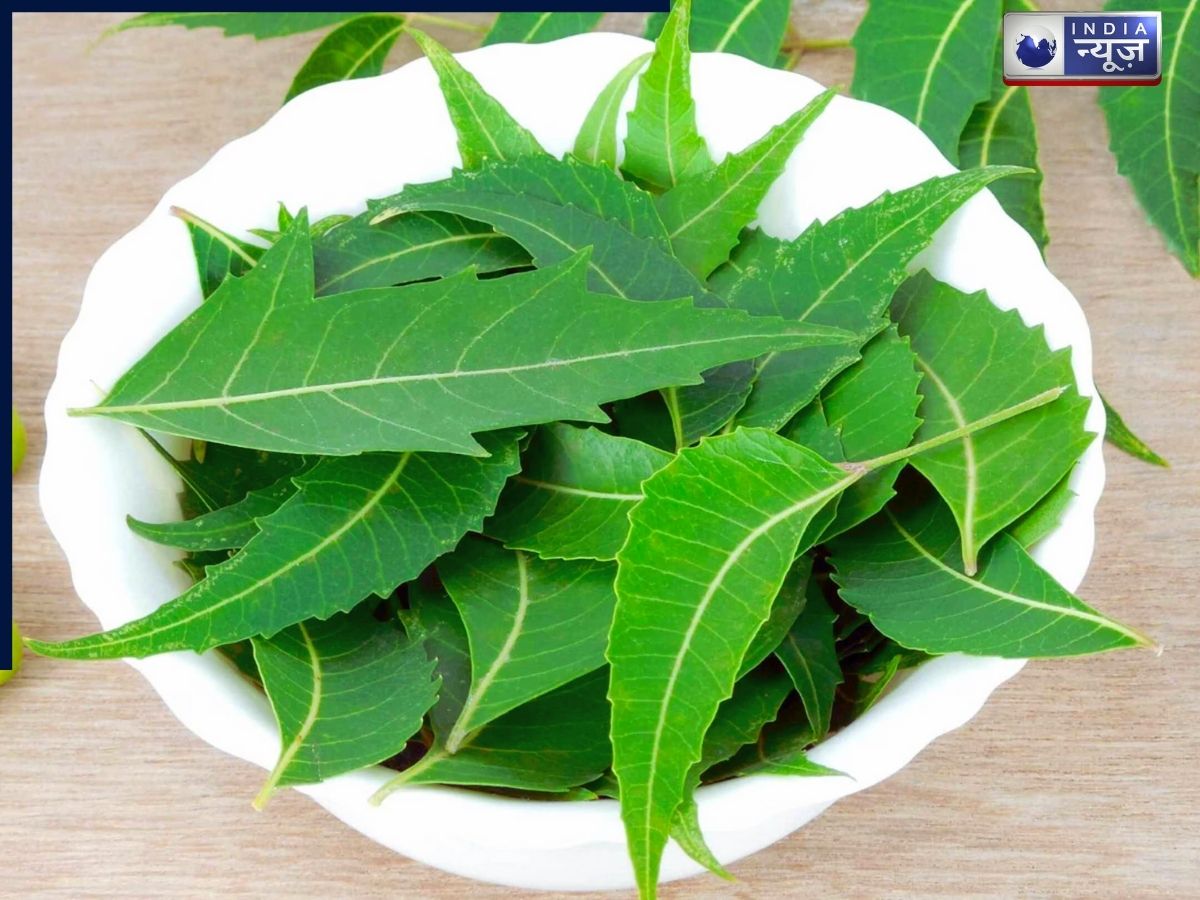 Use sunlight and neem - Photo Gallery