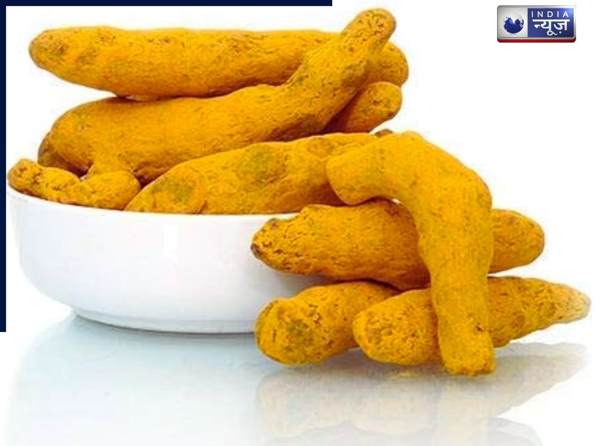 Turmeric rhizomes - Photo Gallery