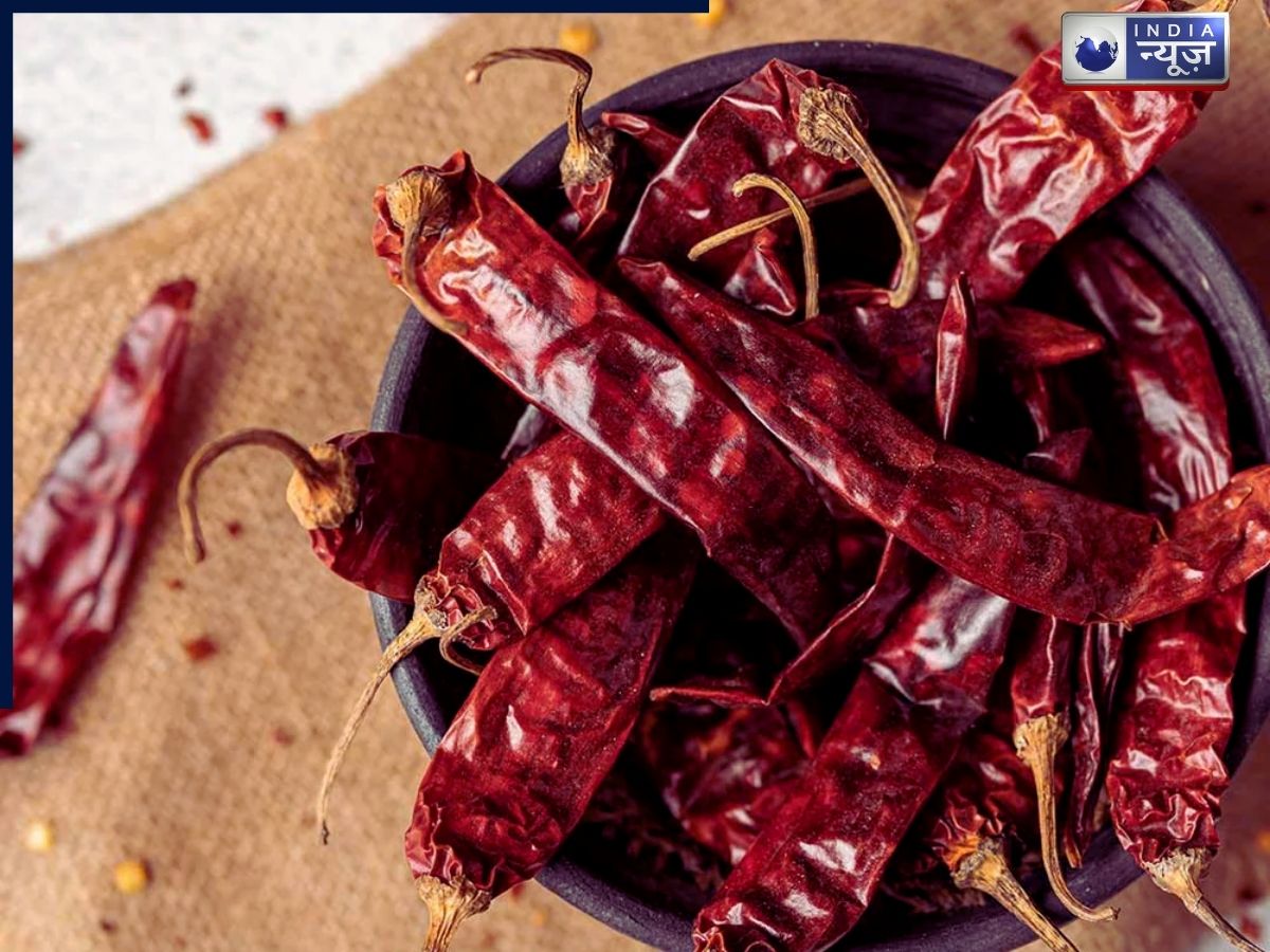 Dried red chilies - Photo Gallery