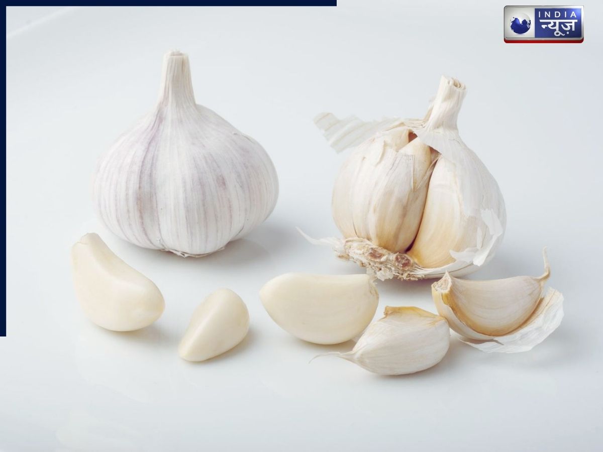 Garlic cloves - Photo Gallery