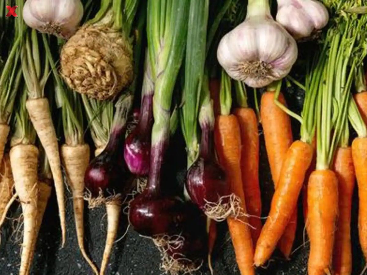 Root Vegetables - Photo Gallery