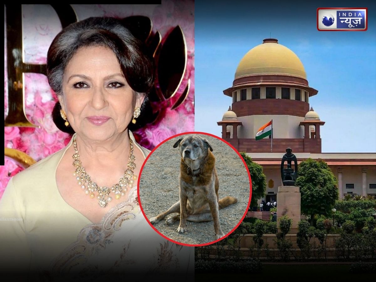 ‘वास्तविकता से कोसों दूर हैं…’, आवारा कुत्तों के मामले में सुप्रीम कोर्ट ने शर्मिला टैगोर को दिखाया आइना; कह दी ये बात