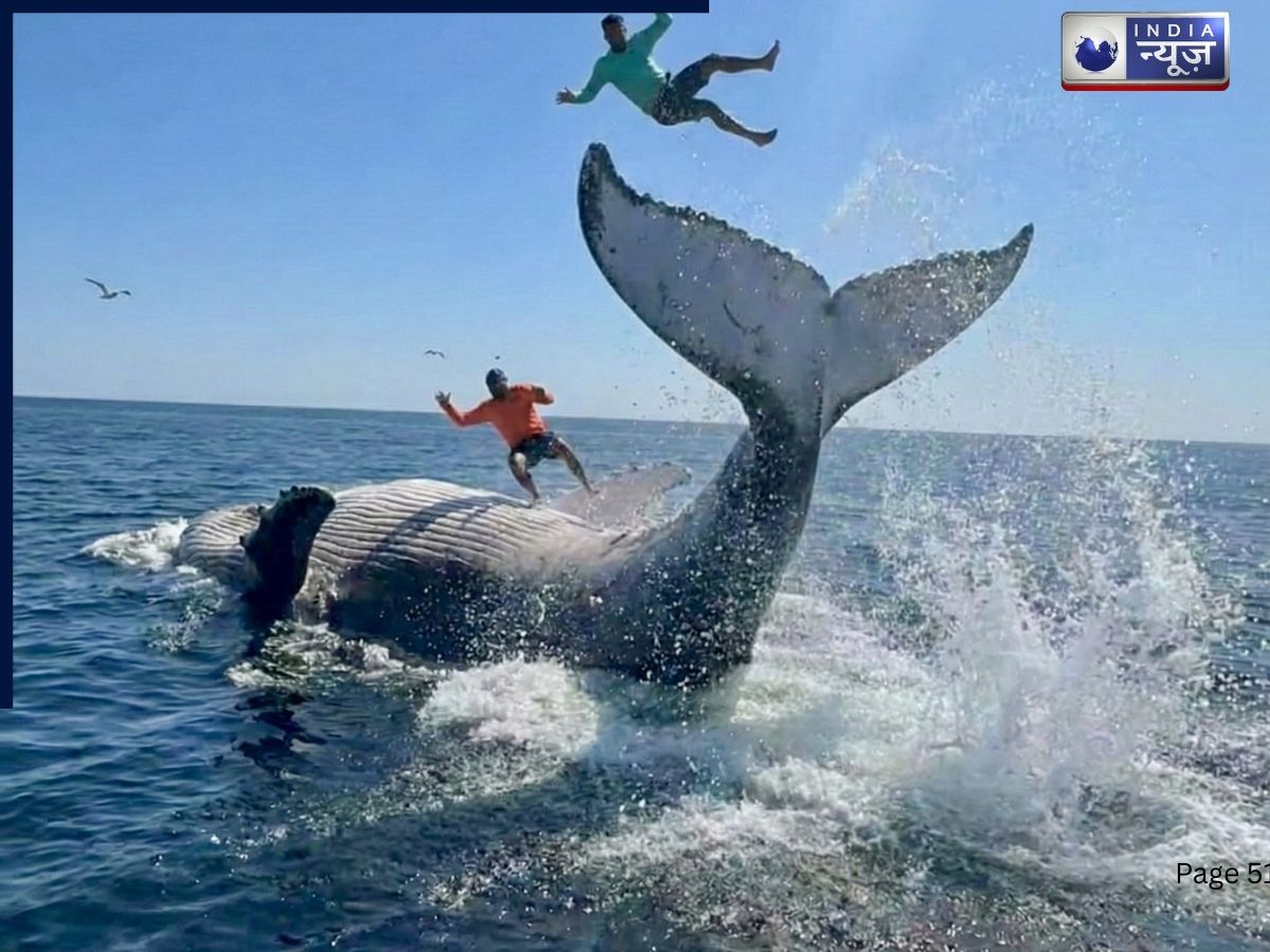 इंसानियत हुई शर्मसार, मरी हुई व्हेल के साथ मछुआरों का ‘फोटोशूट’ देख भड़का लोगों का गुस्सा