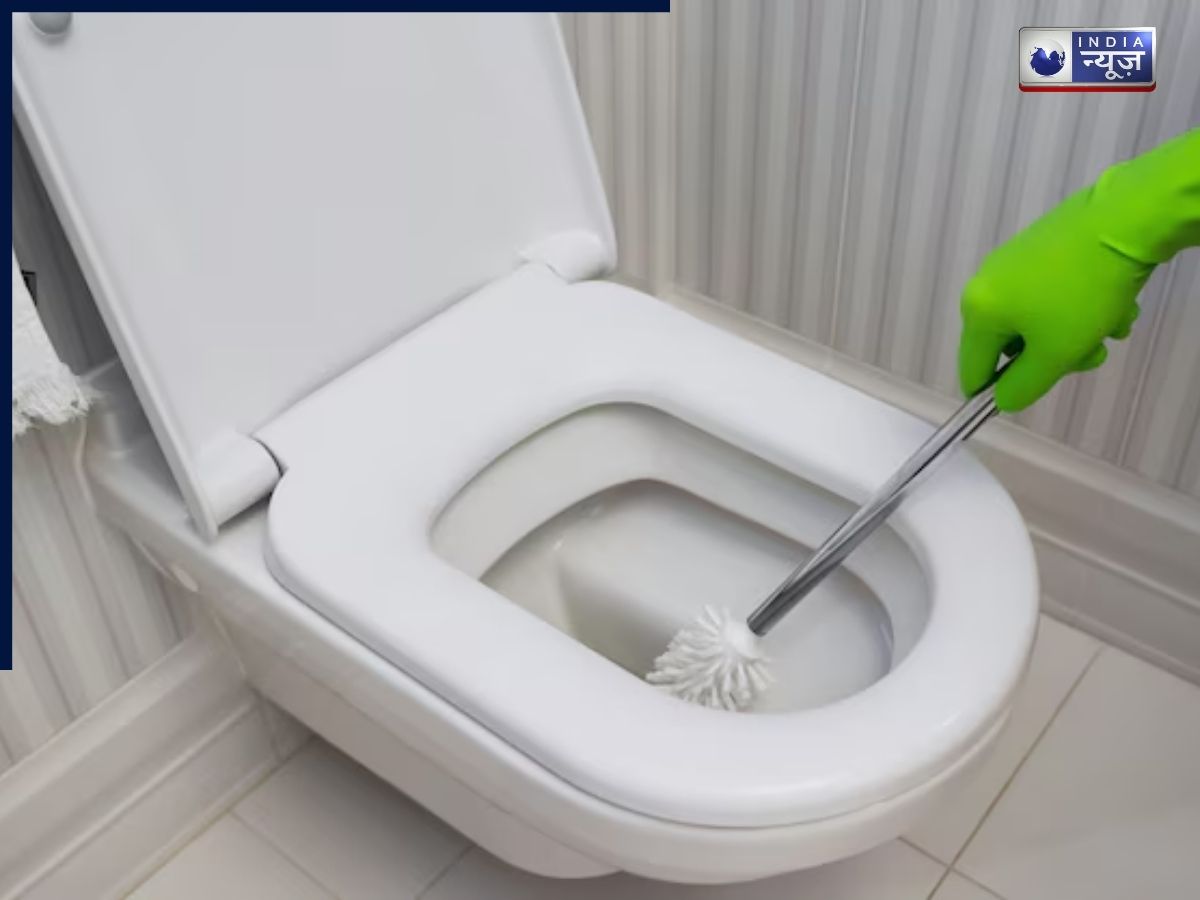 pumice stone toilet bowl - Photo Gallery