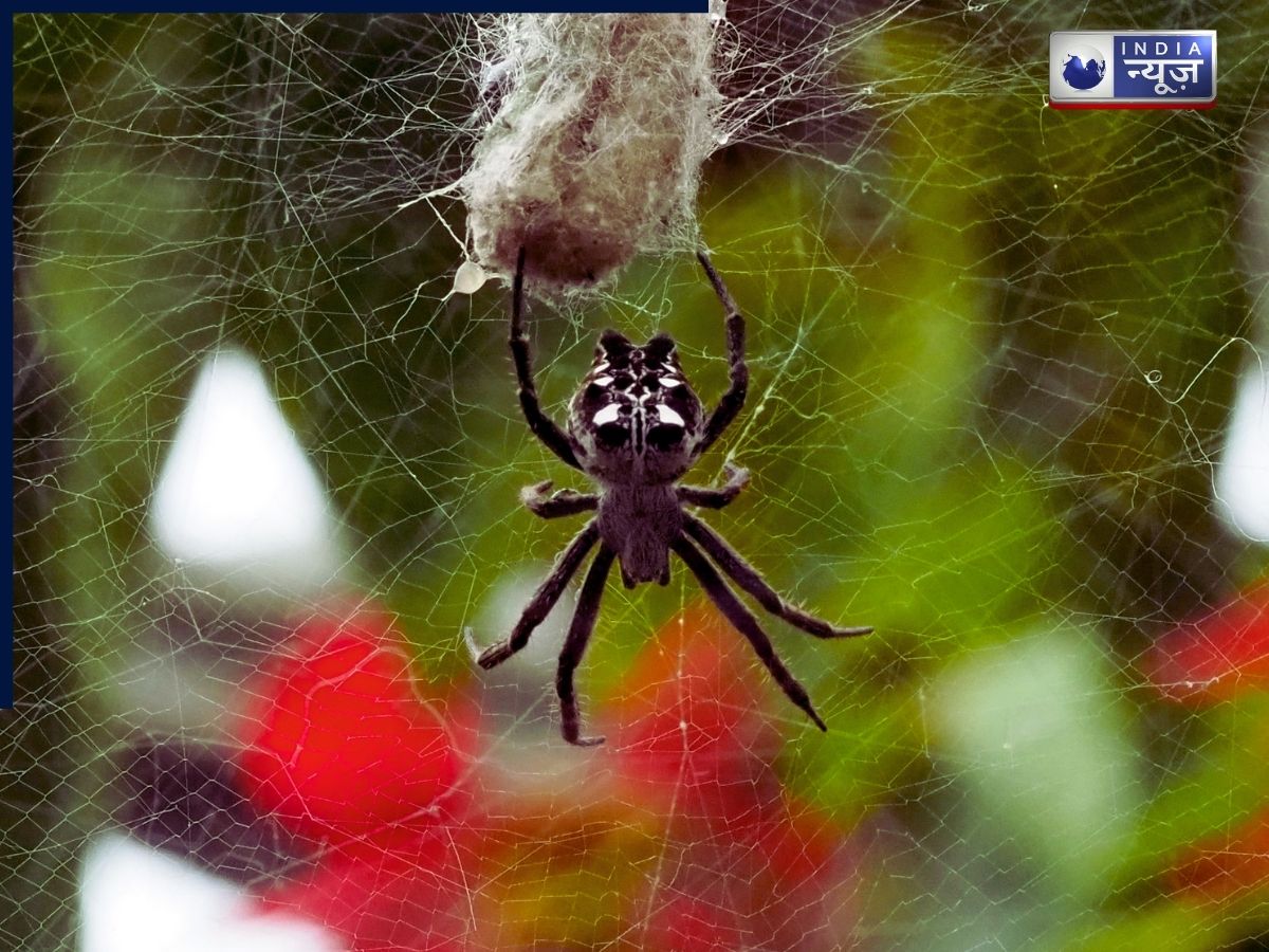 Animals - Photo Gallery