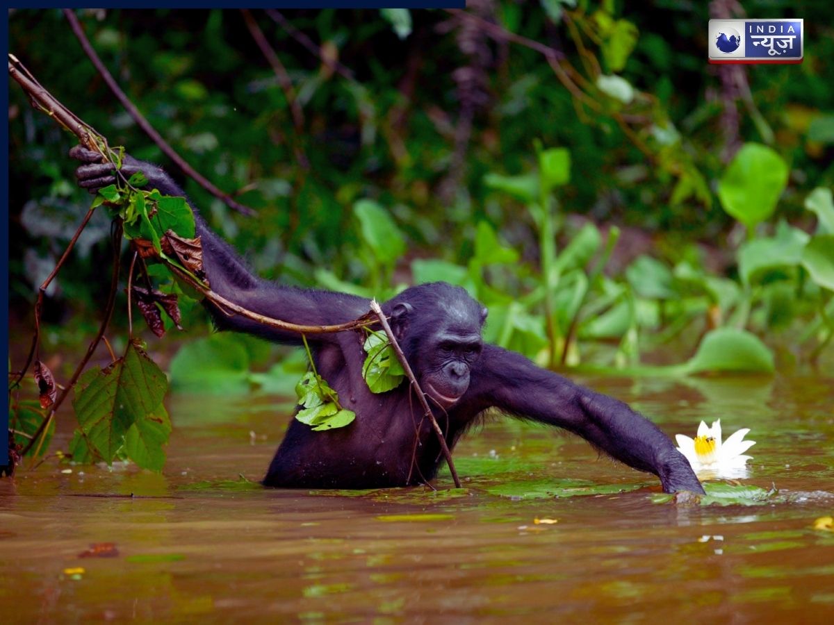 Animals - Photo Gallery