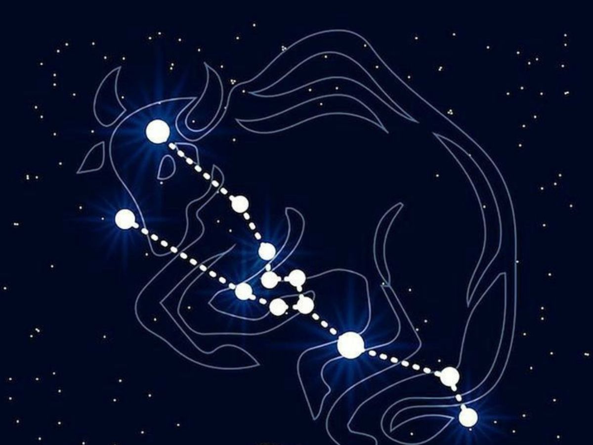 Taurus - Photo Gallery