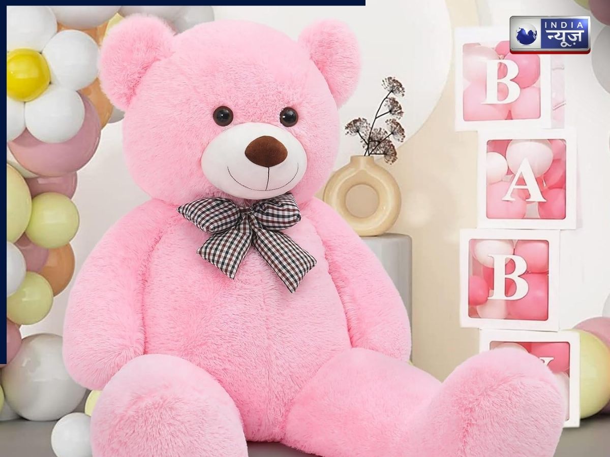 Teddy Day on 10 February - Photo Gallery