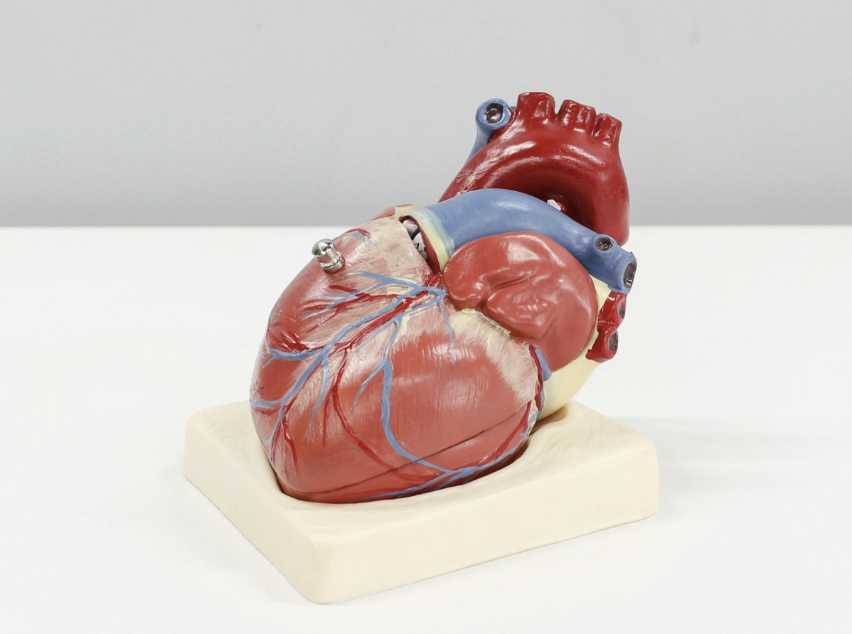 The Real Enemy HFSS Diet - Photo Gallery