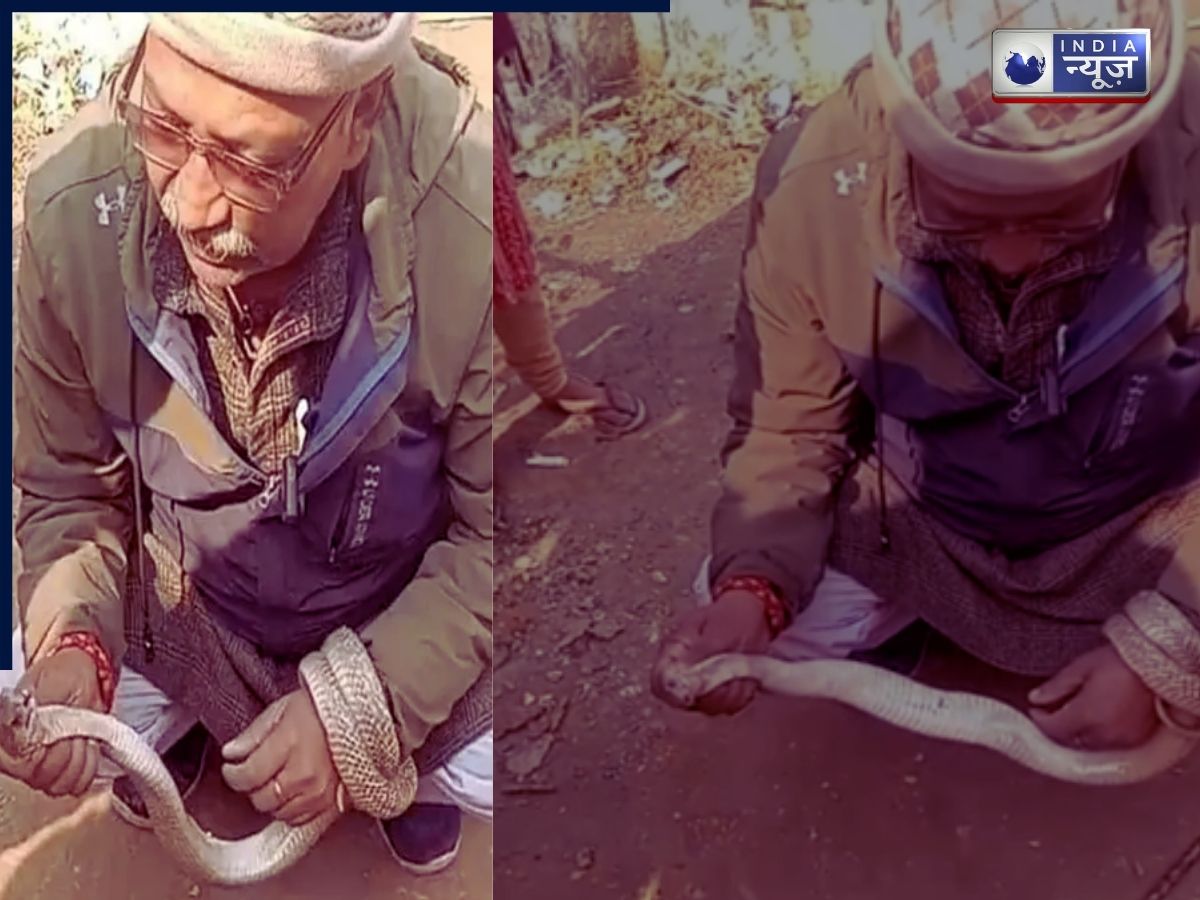 Snake Bite News: रील बनाना पड़ा भारी, सांप के काटने से गई शिक्षक की जान, पढ़ें पूरी न्यूज
