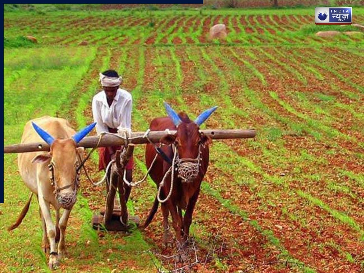 Budget 2026 will focus on unfulfilled promises in the agriculture sector. - Photo Gallery