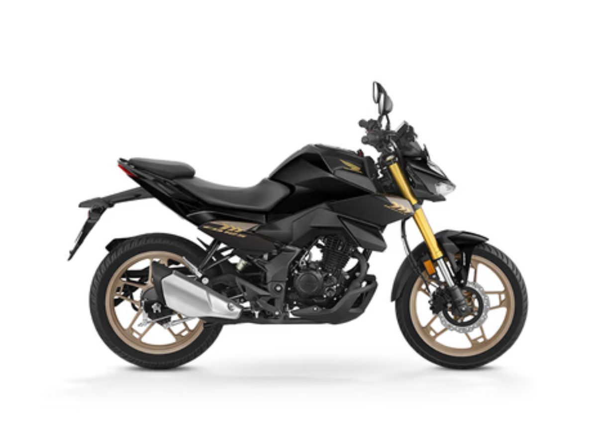 Style & Design: - Photo Gallery