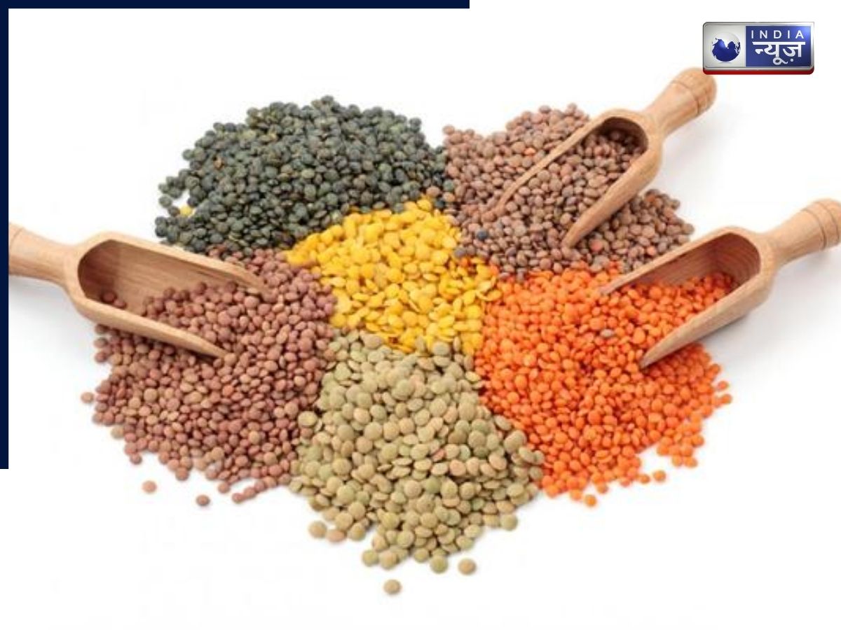 Use Lentils - Photo Gallery
