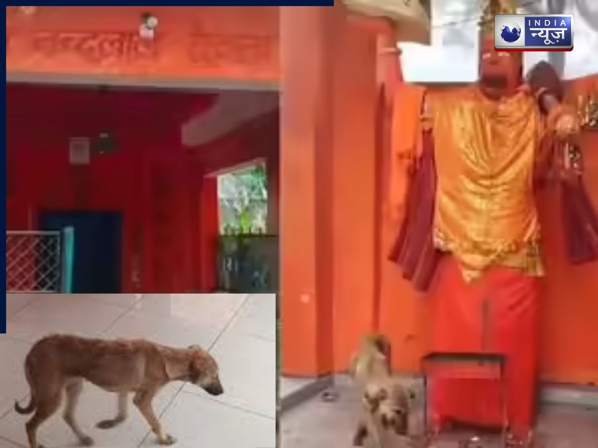 viral dog: मंदिर में कुत्ते के गोल-गोल घूमने से मचा हंगामा, कुछ ने माना चमत्कार तो कुछ ने बताई बीमारी
