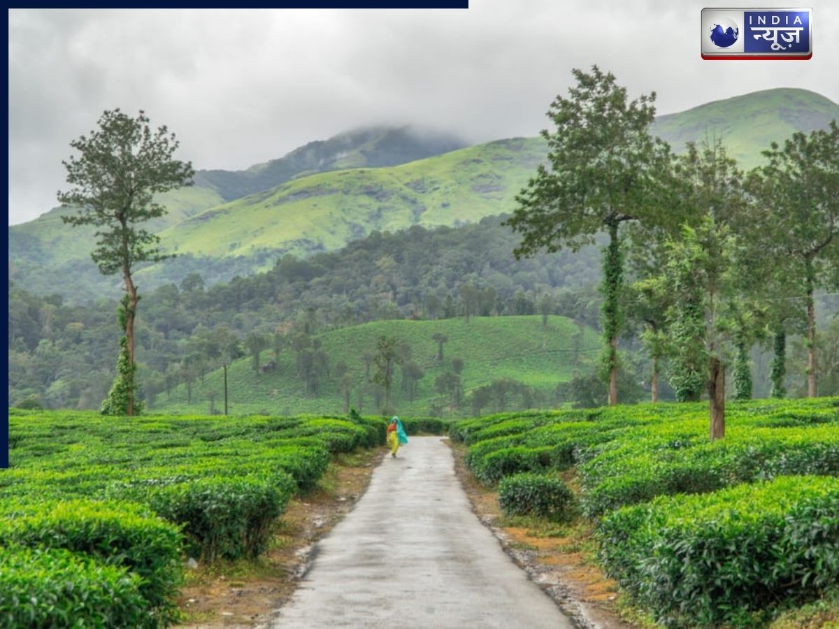 Wayanad - Photo Gallery
