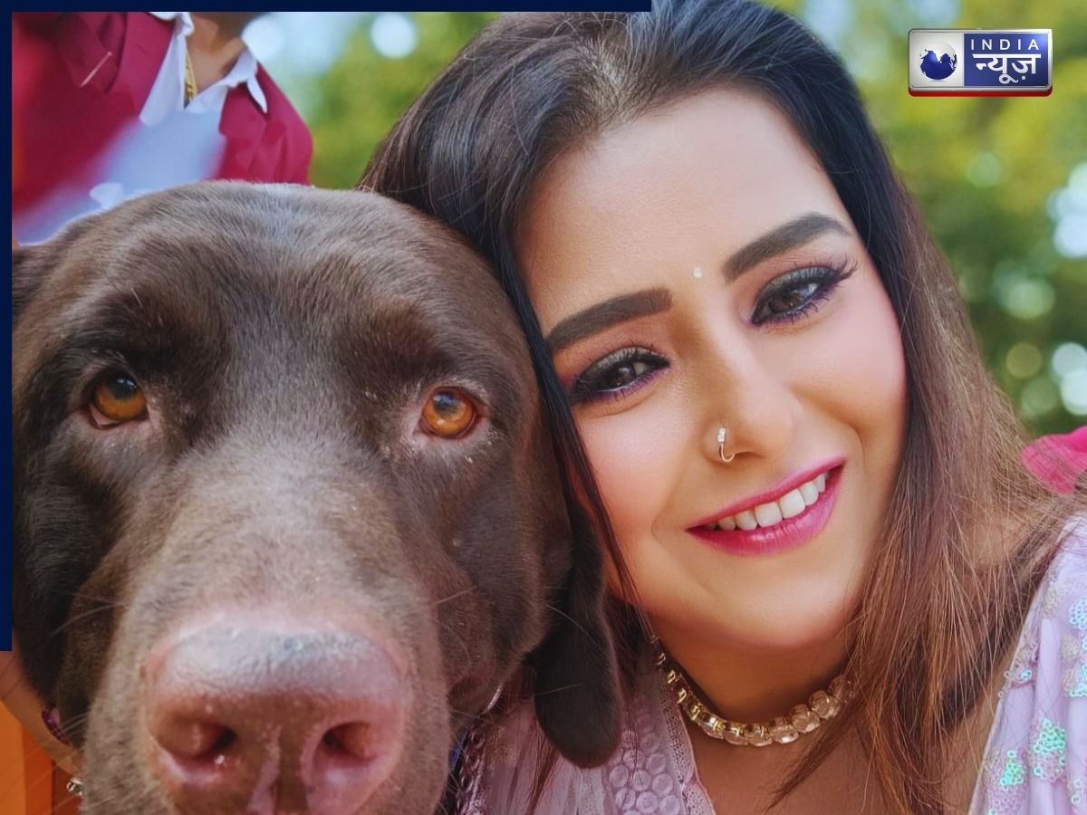 The promise of returning many times the amount of money invested - Photo Gallery