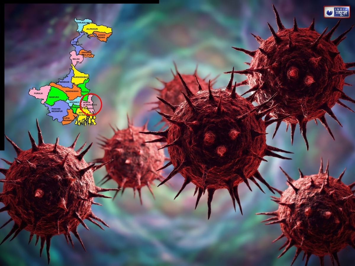 भारत में ‘निपाह’ वायरस का मंडराया संकट, प. बंगाल में दो मामलों की हुई पुष्टि, WHO ने स्पष्ट की स्थिति - Photo Gallery