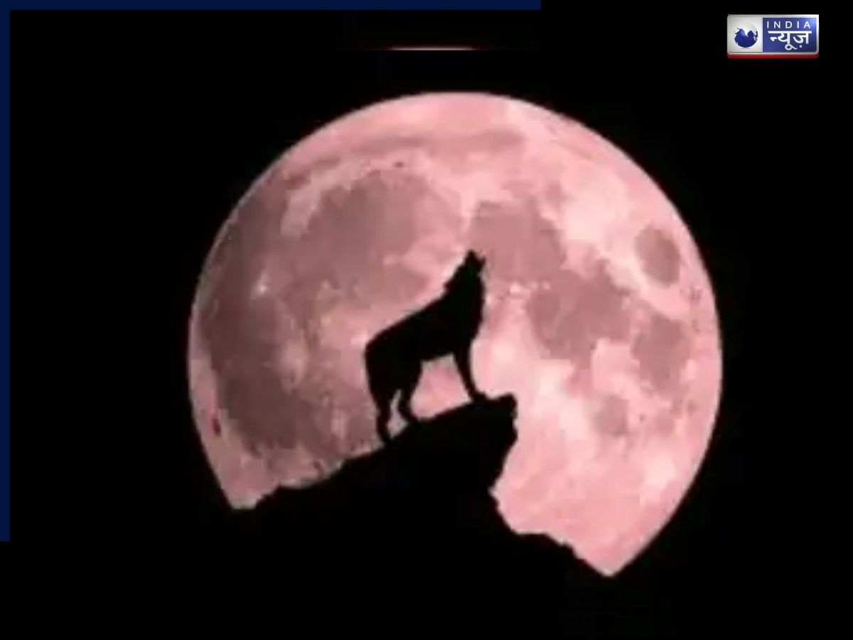 पौष पूर्णिमा के दिन दिखेगाा वुल्फ सुपरमून, चांद देखना ज्यादा आकर्षित, हिंदू धर्म में भी विशेष महत्वता
