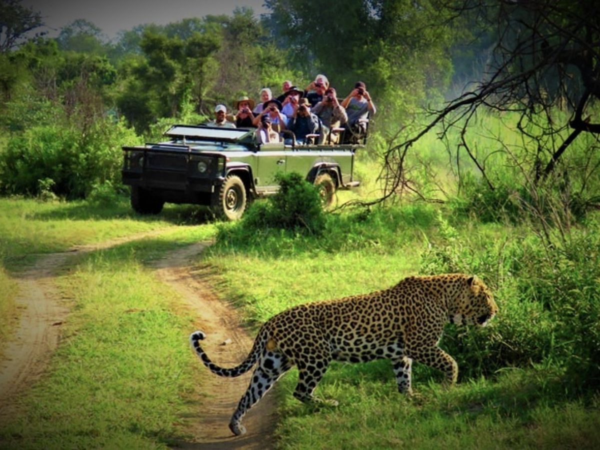 Chitwan National Park Safari - Photo Gallery