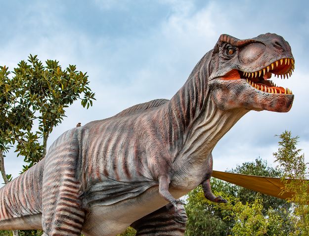 97 million-year-old discovery - Photo Gallery