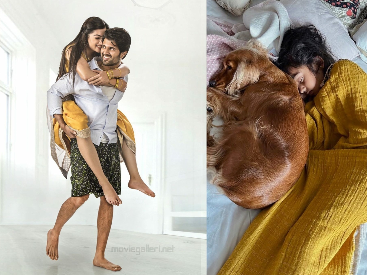 rashmika mandanna sister - Photo Gallery