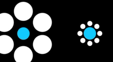 (Ebbinghaus Circles) - Photo Gallery