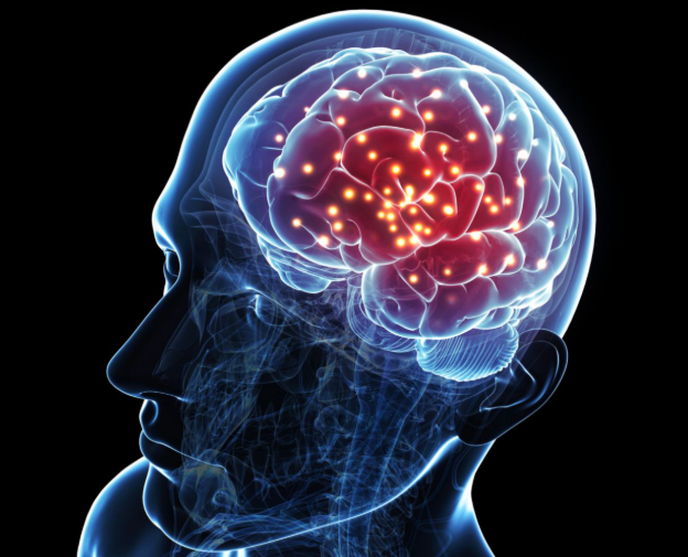 It has a huge impact on brain function - Photo Gallery